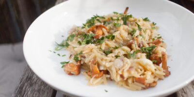 orzotto z kurkami, parmezanem i bialym winem