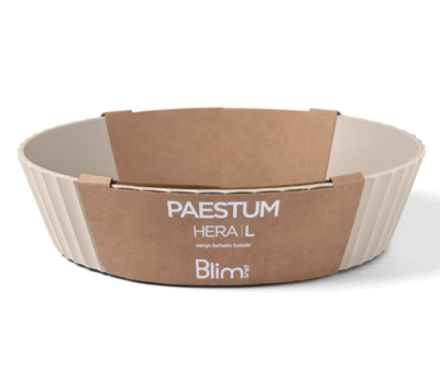 elegancka beżowa misa