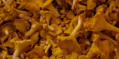 jak czyścić kurki? niezawodny sposób na czyszczenie kurek