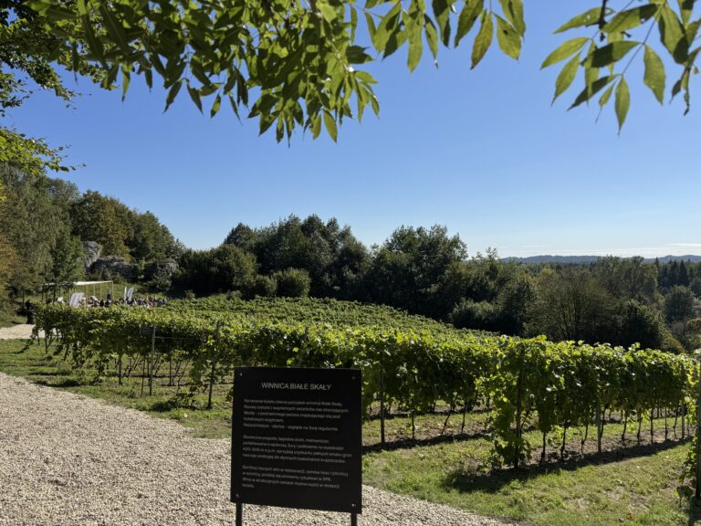 Winnica Białe Skały – luksusowa winnica w polsce