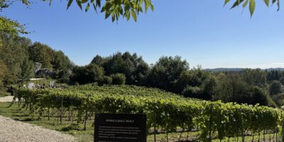 Winnica Białe Skały – luksusowa winnica w polsce